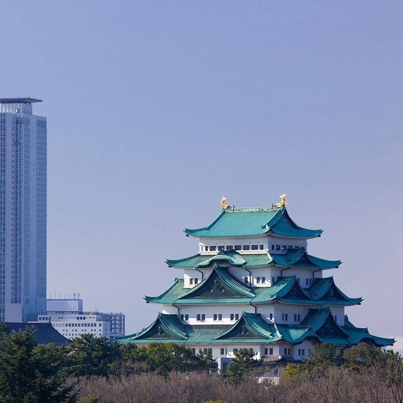 名古屋支部