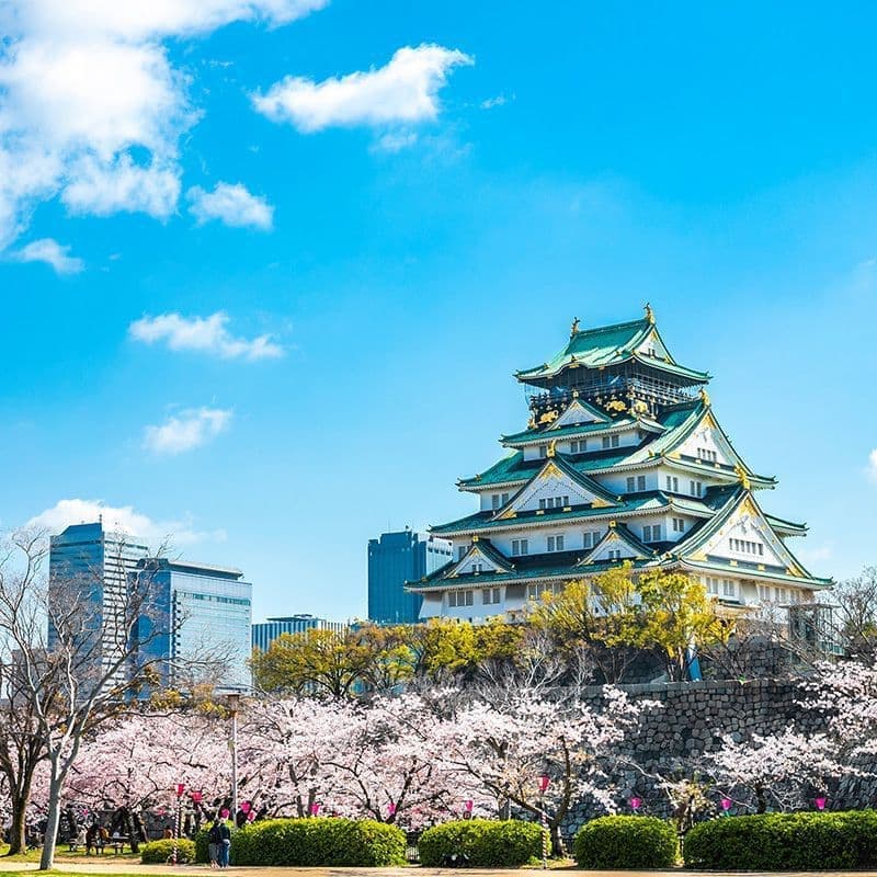 大阪支部